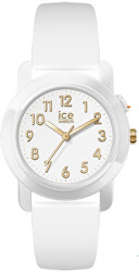 Ice-Find 024917