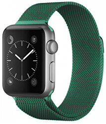 Curea de oțel pentru Apple Watch - Green 42/44/45 mm