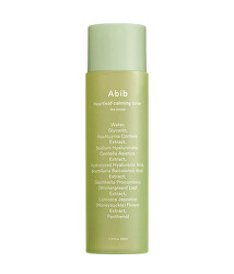 Zklidňující pleťové tonikum Skin Booster Heartleaf (Calming Toner) 200 ml