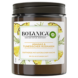Candela profumata Botanica Ananas fresco e rosmarino tunisino 205 ml