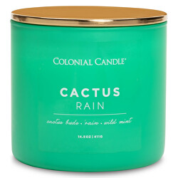 Vonná sviečka s tromi knôtmi Cactus Rain 411 g