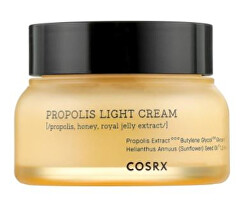 Cremă hidratantă pentru ten cu propolis (Propolis Light Cream) 65 ml