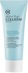 Zklidňující a hydratační pleťová maska (Hyaluronic Acid + Madecassoside Cica-Mask) 75 ml