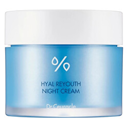 Noční pleťový krém Hyal Reyouth (Night Cream) 60 g