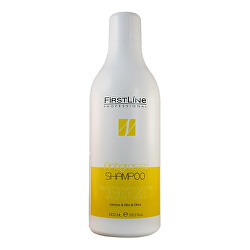 Šampón pre mastné vlasy Antigrasso Shampoo