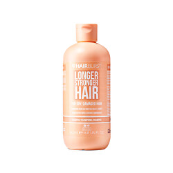 Šampon pro suché a poškozené vlasy (Shampoo for Dry, Damaged Hair)