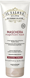 Maska pro barvené vlasy (Magnificent Mask)