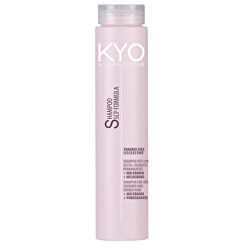 Hydratační šampon na vlasy KYO (Shampoo For Dry Coloured And Permed Hair)