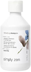 Detoxikační šampon na vlasy Detoxifying (Shampoo)