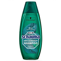 Šampon proti lupům pro muže Mint + Lemongrass (Anti-Danduff Shampoo)