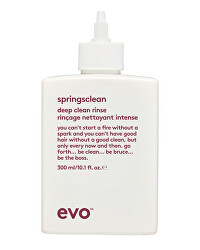 Hloubkově čisticí šampon pro kudrnaté a vlnité vlasy Springsclean (Deep Clean Rinse) 300 ml