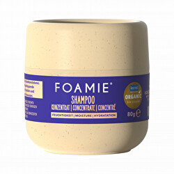 Koncentrovaný hydratační šampon (Moisture Concentrate Shampoo) 80 g