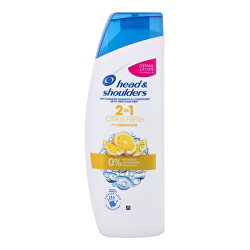 Šampon a kondicionér proti lupům 2 v 1 Citron (Anti-Dandruff Shampoo & Conditioner) 450 ml