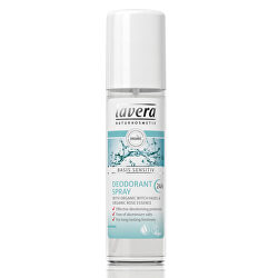 Dezodor spray 24H Basis Sensitiv (Deodorant Spray)