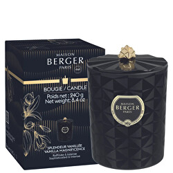 Illatgyertya Kali fekete Csodálatos vanília Vanilla Magnificence (Candle) 240 g