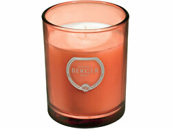 Lumânare parfumată Olymp cupru Strălucire intensă Exquisite Sparkle (Candle) 180 g
