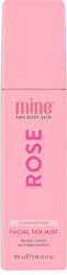 Samoopalovací mlha na obličej Illuminating (Facial Tan Mist) 100 ml