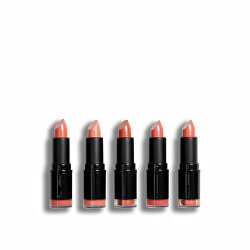 Set de rujuri Nudes (Lipstick Collection) 5 x 3,2 g
