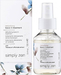 Bezoplachová detoxikační kúra Detoxifying (Leave In Treatment) 100 ml
