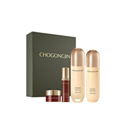 Geschenkset Hautpflege Chogongjin Geumsul Nourishing Care Essential Set