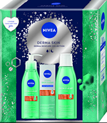 Geschenkset Derma Skin