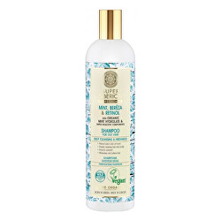 Šampon pro mastné vlasy Professional (Shampoo for Oily Hair) 400 ml