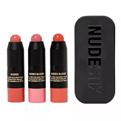 Rouge-Set Pretty Blush Kit