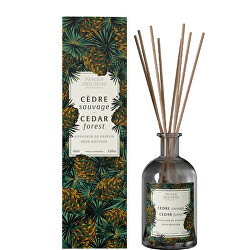 Aroma difuzér Cedar Forest (Reed Difuzer) 245 ml
