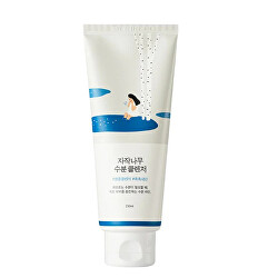 Čisticí gel na obličej Birch Juice (Moisturizing Cleanser) 150 ml