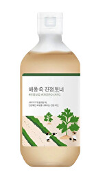 Zklidňující pleťové tonikum s extraktem z pelyňku Mugwort (Toner) 300 ml