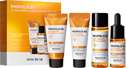 Dárková sada zklidňující péče o pleť Propolis B5 (Glow Barrier Calming)