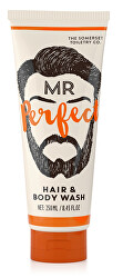 Pánský mycí gel na tělo a vlasy Mr. Perfect (Hair & Body Wash) 250 ml