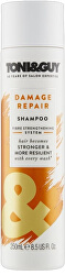Šampon pro poškozené vlasy (Shampoo For Damaged Hair) 250 ml