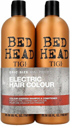 Set cadou - îngrijire pentru părul vopsit Bed Head