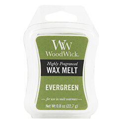 Vonný vosk Evergreen 22,7 g