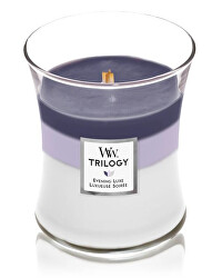 Vonná svíčka váza Trilogy Evening Luxe 275 g