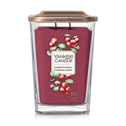 Candela aromatica quadrata grande Candied Cranberry 552 g