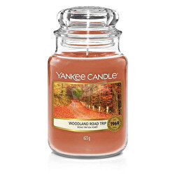 Aromatická sviečka Classic veľká Woodland Road Trip 623 g