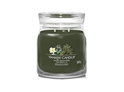 Aromatická svíčka Signature sklo střední Silver Sage & Pine 368 g