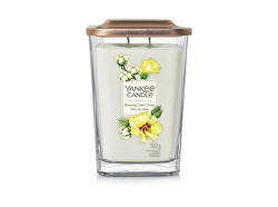 Aromatická svíčka velká hranatá Blooming Cotton Flower 552 g