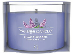 Candela votiva in vetro Lilac Blossoms 37 g