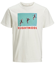 Tricou pentru bărbați Messenger Tee Ss Crew Neck Cloud Dancer Slim-Bird Print