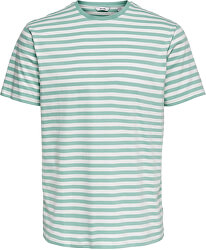 Shirt pentru bărbați ONSJAMIE LIFE SS BANDA TEE REG Noos Cloud Dancer acvifer