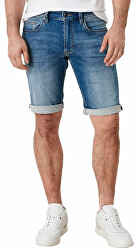 Herren Shorts Regular Fit