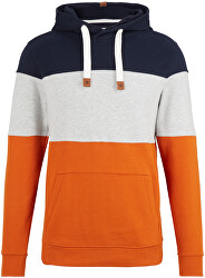 Herren Sweatshirt Regular Fit