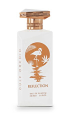 Reflection - EDP