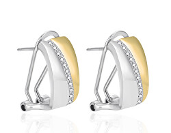 Elegantní bicolor náušnice se zirkony AGT-E029KKW-2T
