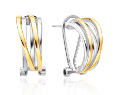Elegantní bicolor náušnice se zirkony AGT-E122KK-2T