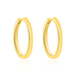 Pozlacené kruhové náušnice AGT-E251K-GOLD
