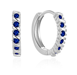 Elegante runde Ohrringe mit blauen Zirkonen AGUC2680-DB